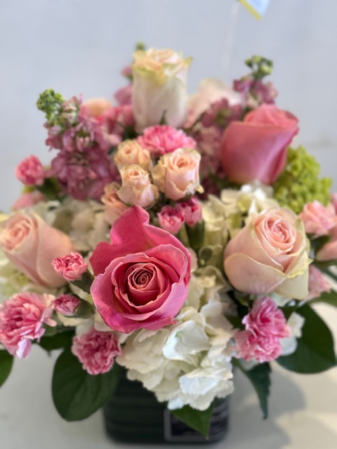 Pink shades roses