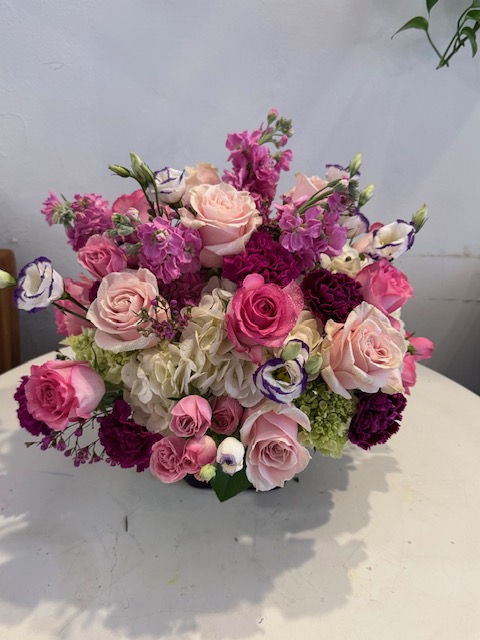 Pink and white roses